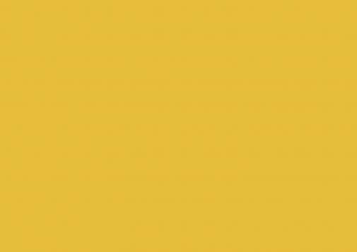 NOVOTEL - PARIS ROISSY CDG CONVENTION bright yellow 505 357 1 vikiallo