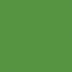 Aslan-CT-Bright-Green