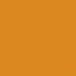 Aslan-CT-Orange