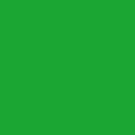 9847-00 MACpro 9847-00 Luminous Green blank SL 123cm luminous green vikiallo